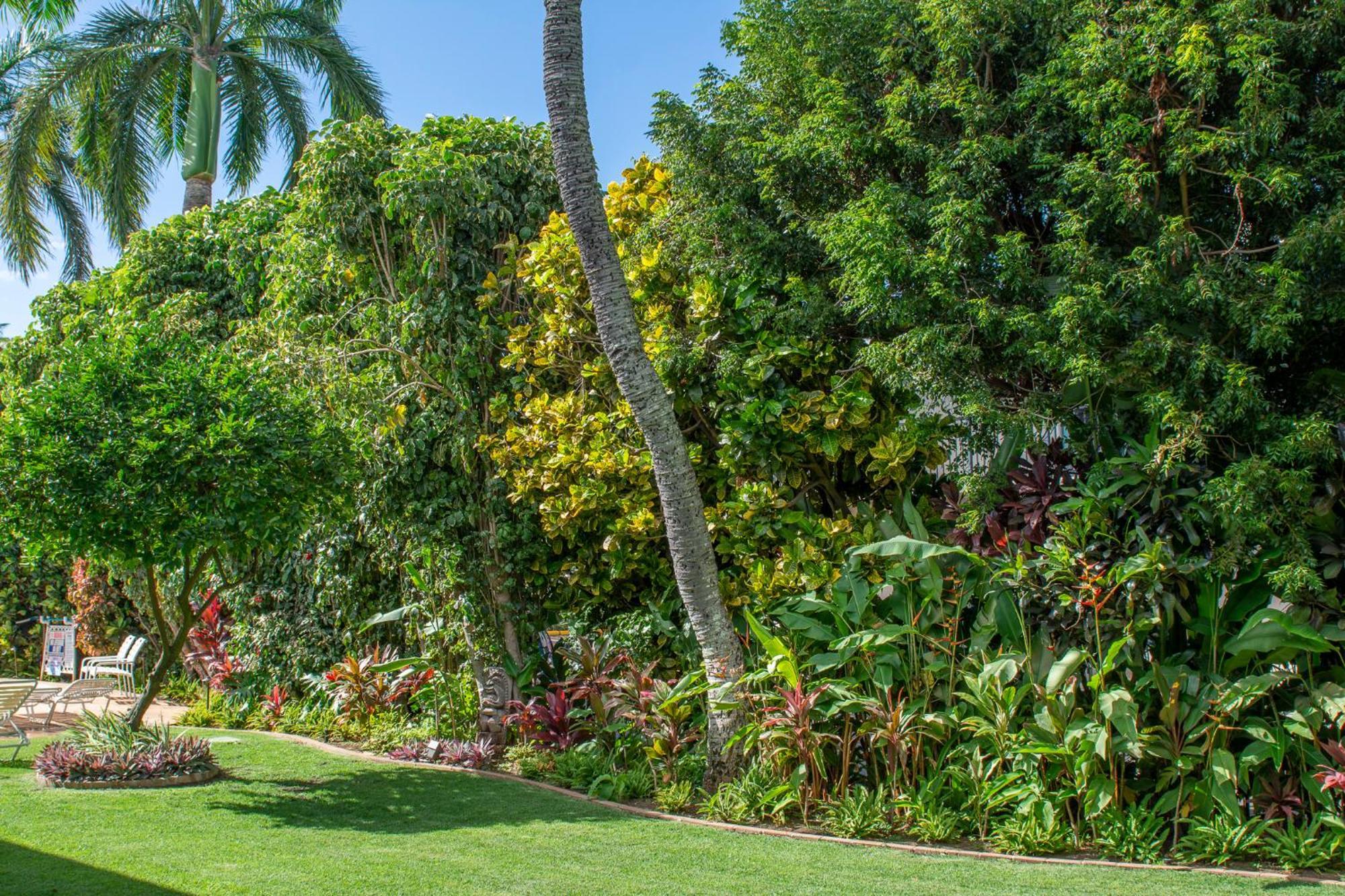 Napili Surf Beach Resort By Castle Kapalua Exterior photo